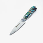 Chikashi 3.5 inch Fruit Knife